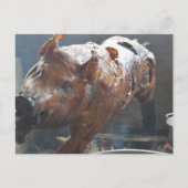 Cochon sur une carte postale crache (Devant)