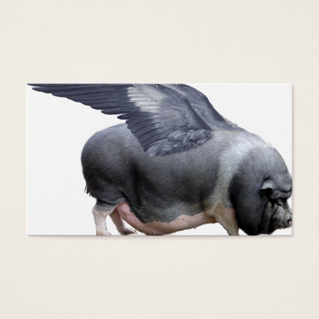 cochon volant (Devant)