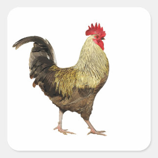 Cock-A-Doodle-Doo-vellen van Stickers
