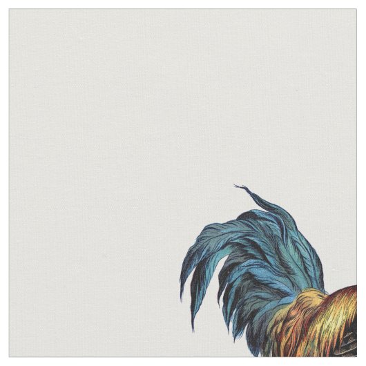 Cock Stof (Close Up)