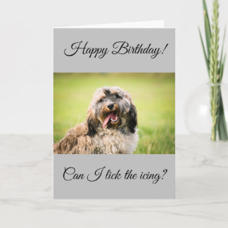 Cockapoo Birthday Kaart