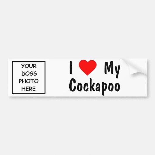 Cockapoo Bumpersticker (Voorkant)