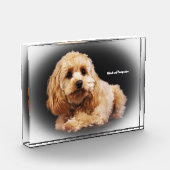 Cockapoo Dog. Fotoblokken (Links)