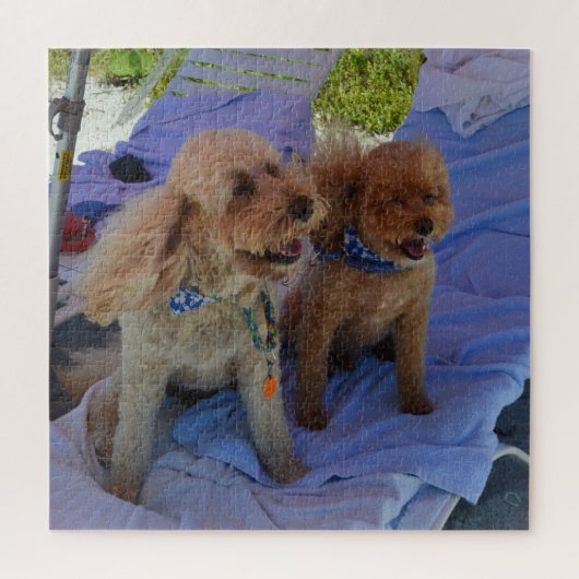 Cockapoo Dogs maakt foto's van elke hartaanval Legpuzzel (Verticaal)