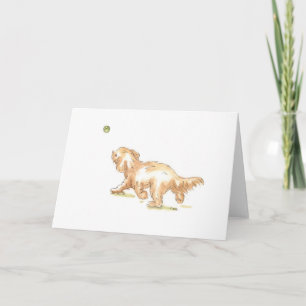 "Cockapoo" groetenkaart voor om het even welke Kaart