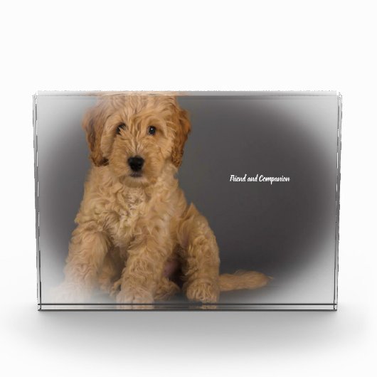 Cockapoo hond. fotoblokken (Voorkant)