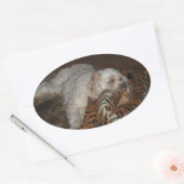 Cockapoo hond ontspannen op zijn tijger gestreept  ovale sticker (Envelop)