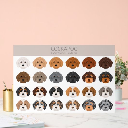 Cockapoo hondenmix acryl bord (Huwelijk)