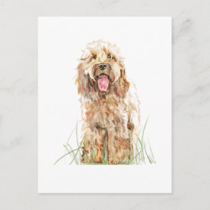 Cockapoo-hondenskaart – Watercolor huisdierkunst Briefkaart
