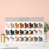 Cockapoo mélange chien (Mariage)