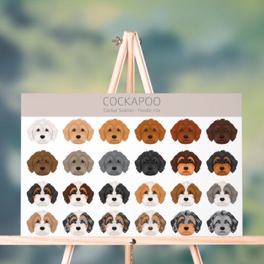 Cockapoo mélange chien (Neutre)