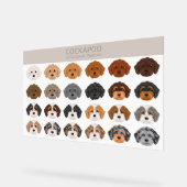 Cockapoo mélange chien (Angle)