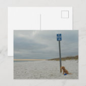 Cockapoo On the Beach, Carte postale (Devant / Derrière)