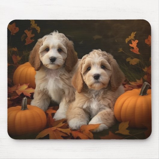 Cockapoo Pup Autumn Delight Pompoen Muismat (Voorkant)
