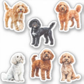 Cockapoo Schattige Hond Liefhebber  Sticker (Voorkant)