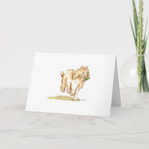 'Cockapoo' wenskaart voor elke gelegenheid. Kaart