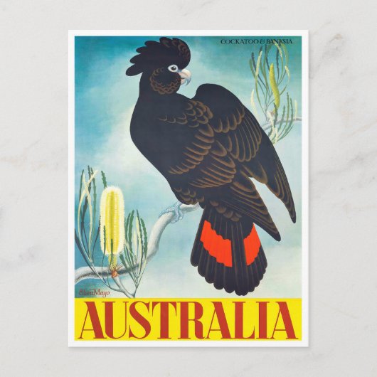 Cockatau Australia vintage Briefkaart (Voorkant)
