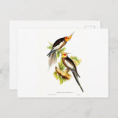 Cockatau Parakeet Briefkaart (Voorkant / Achterkant)