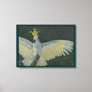 Cockatau Stretted Canvas Print