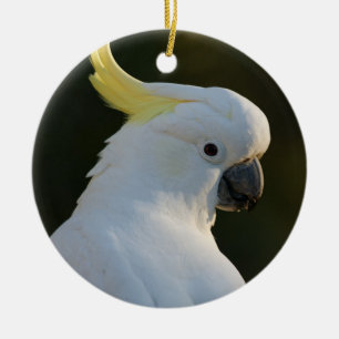 Cockatiel Bird Keramisch Ornament
