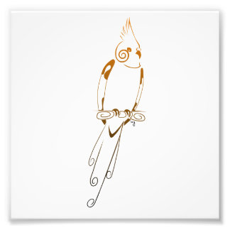 Cockatiel Foto Afdruk