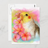 Cockatiel met frangipani briefkaart (Voorkant / Achterkant)