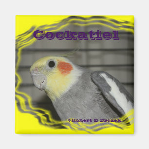 Cockatiel Pet Bird MAGNET Magneet