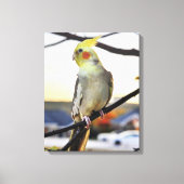 Cockatiel Profile Photograph Canvas Afdruk (Voorkant)