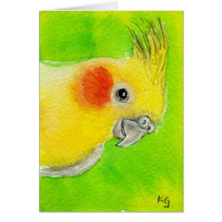 Cockatiel semi-transparent