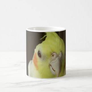 CockatielMok Koffiemok