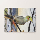 Cockatielprofiel foto legpuzzel (Horizontaal)