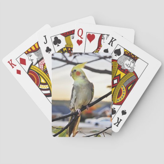 Cockatielprofiel foto pokerkaarten (Achterkant)