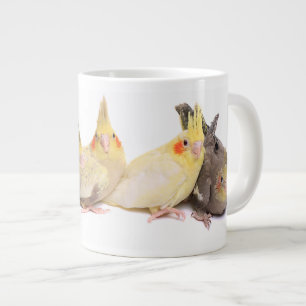 Cockatiels Grote Koffiekop