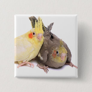 Cockatiels Vierkante Button 5,1 Cm