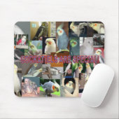 Cockatiels zijn speciaal muismat (Met muis)