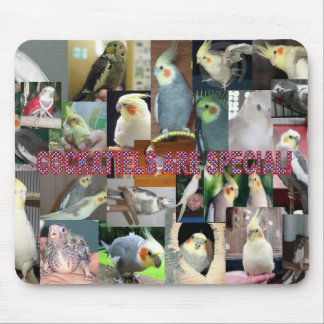 Cockatiels zijn speciaal muismat