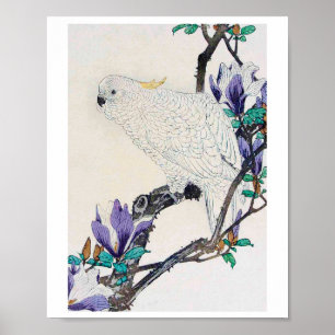 Cockato en Lily Magnolia, Imao Keinen Poster