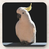 Cockatoo at Sundial Apartments Dessous de verre (Devant)