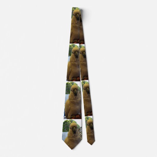 Cockatoo Aussie Blanche, Cravate (Devant)