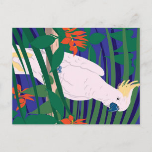 Cockatoo Briefkaart