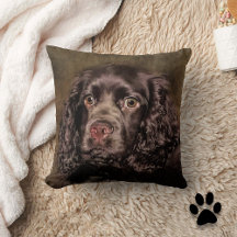 Cocker au chocolat Oreiller à projectile Spaniel