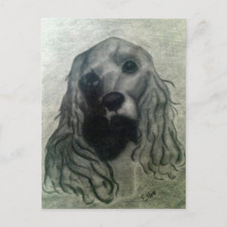 Cocker Drawing, Claire Briefkaart