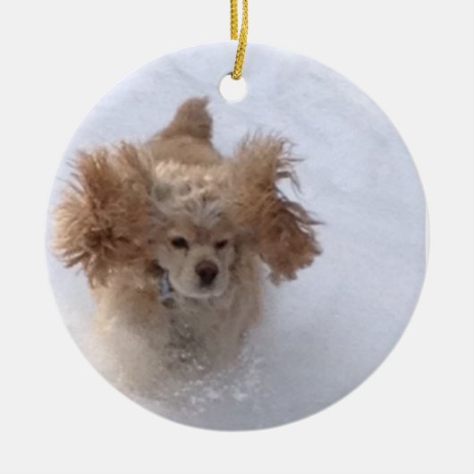 "COCKER LIEFT VAN DE SNEEUW" CERAMISCHE ORNATIE KERAMISCH ORNAMENT (Voorkant)