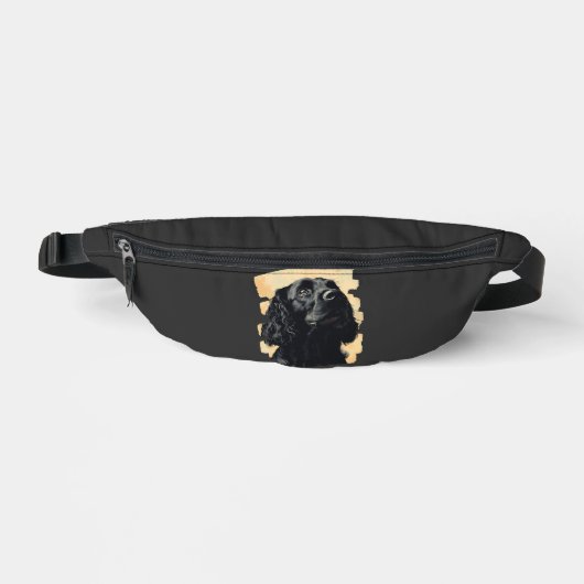 Cocker Spaniel (Recto)