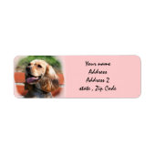 Cocker Spaniel Adresetiketten Etiket (Voorkant)