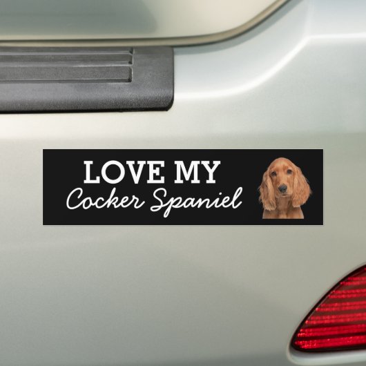 Cocker Spaniel bumper sticker (Op auto)