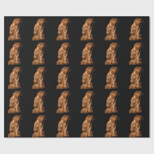 Cocker Spaniel Cadeaupapier (Vlak)