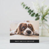 Cocker Spaniel Cavalier Birthday Briefkaart (Staand voorkant)