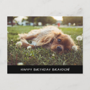 Cocker Spaniel Cavalier Birthday Briefkaart