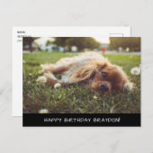 Cocker Spaniel Cavalier Birthday Briefkaart (Voorkant / Achterkant)